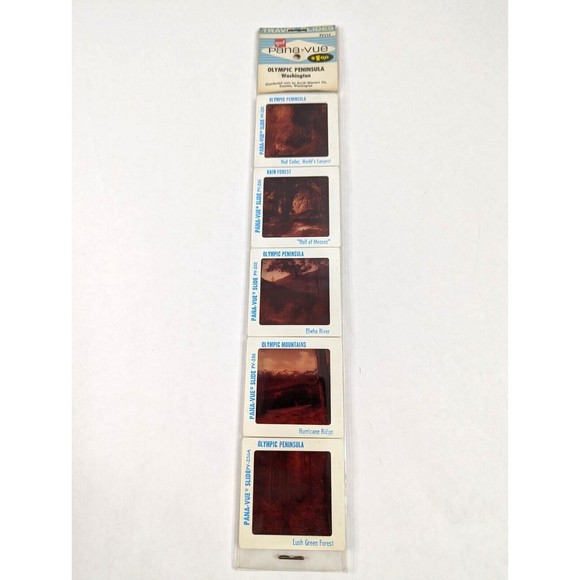 Vintage GAF Pana-Vue Slides Olympic Peninsula Washington State Lot of 5 PV114 - Picture 1 of 11